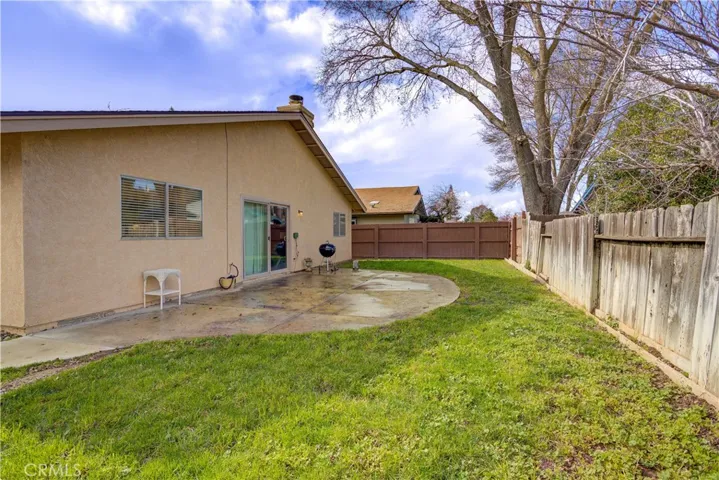 Backyard grass.