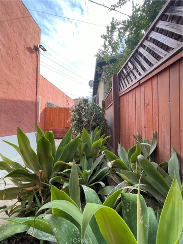 Backyard - View 3