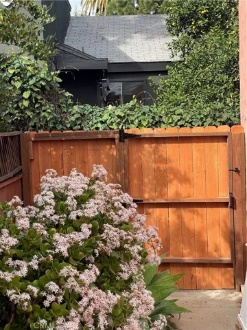 Backyard View 2
