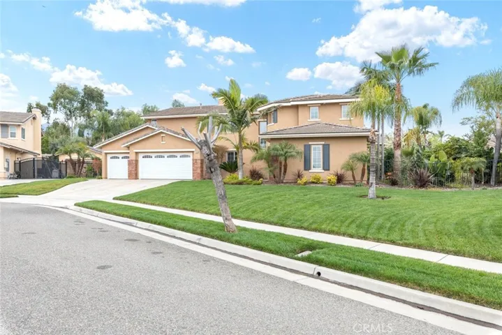 A landscaped corner with a cluster of young palm trees adds a touch of tropical flair to the neighborhood.
