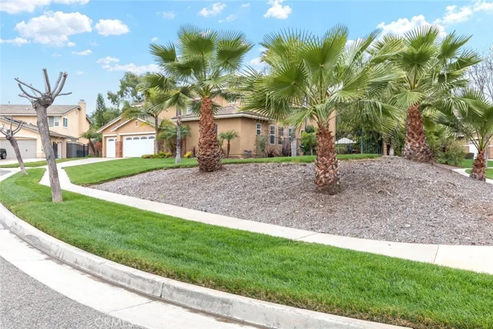 An inviting front yard curves around a corner lot, highlighted by well-kept grass and a variety of palm trees.