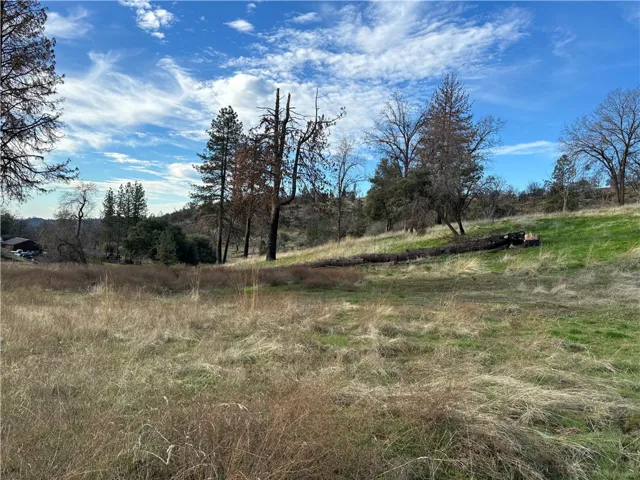 4775 Triangle Road, Mariposa, California 95338