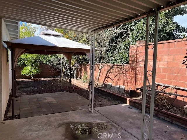 Backyard with fruit trees