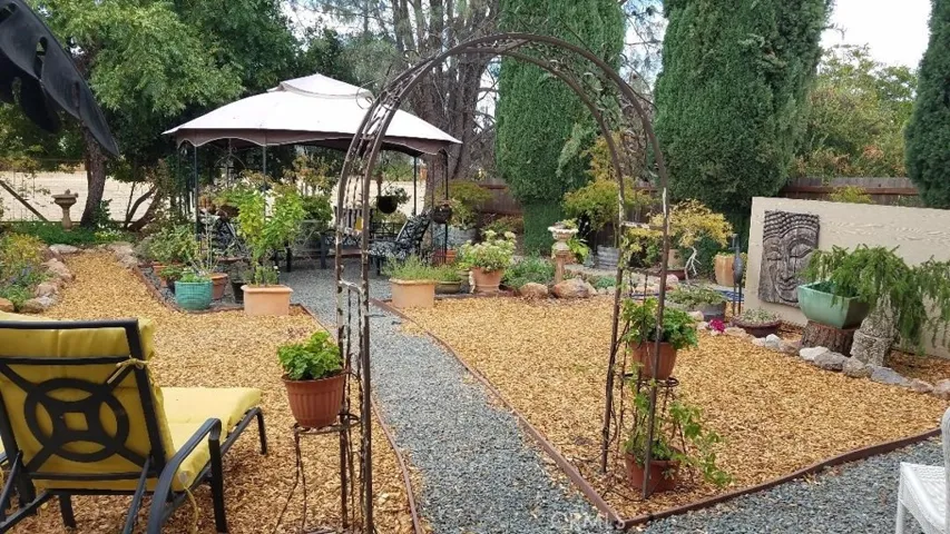 garden from studio