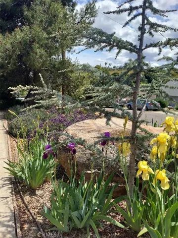 front garden