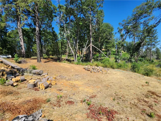7004 Bunker Hill Mine Road, Oroville, California 95965
