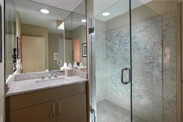 Powder Room and Guest Bath