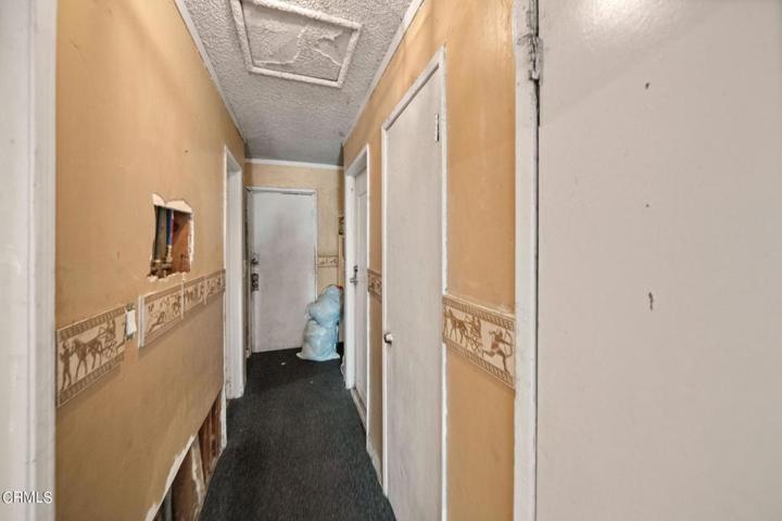 18-web-or-mls-DSC06645