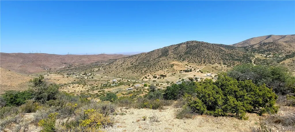 The View