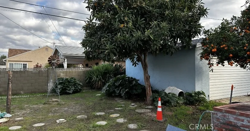Backyard