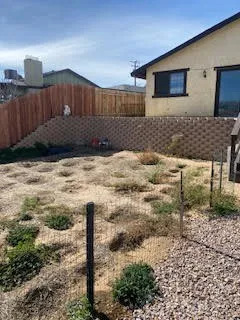 Rear Yard