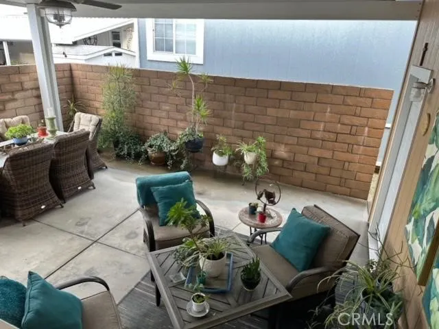 Backyard 2