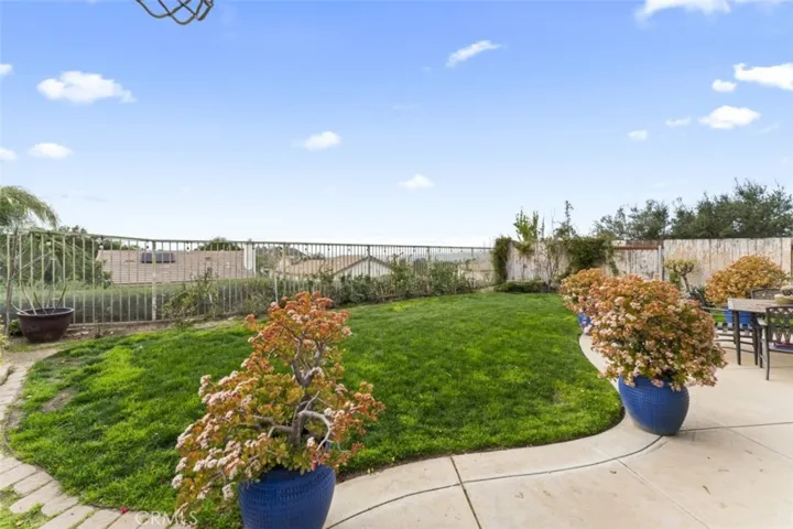 Backyard view