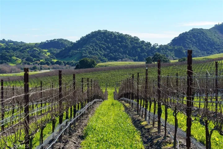 500 Spanish Springs Drive, San Luis Obispo, California 93401