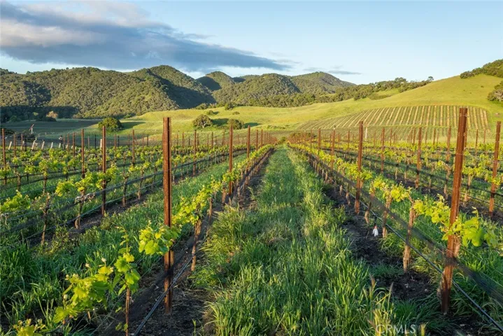 500 Spanish Springs Drive, San Luis Obispo, California 93401