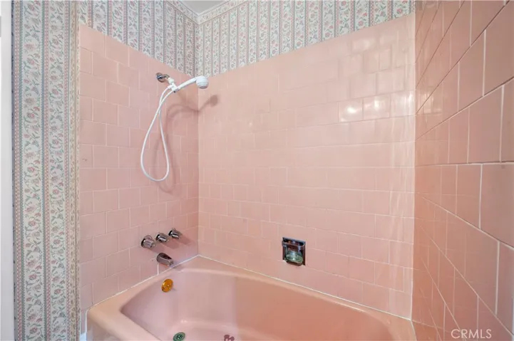 Shower and Tub in Main Bathroom