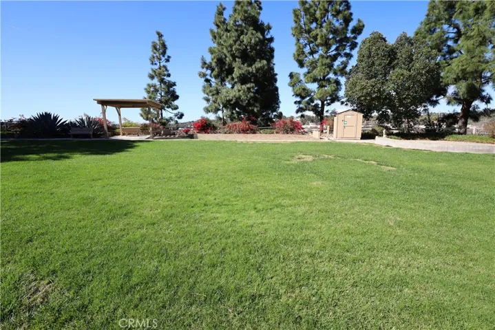 Community park: benches.