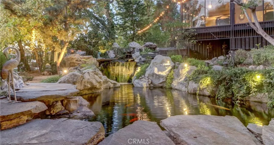 Koi Pond