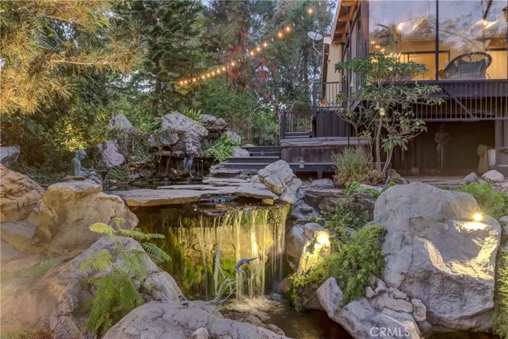 Koi pond at night