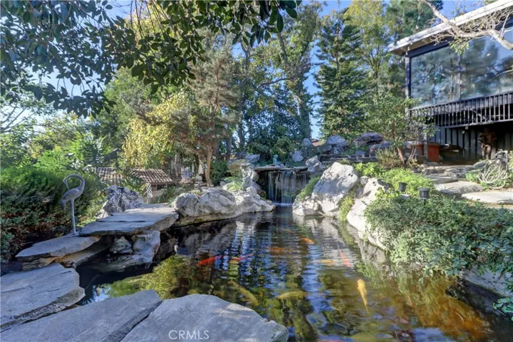 Koi pond has huge fish.