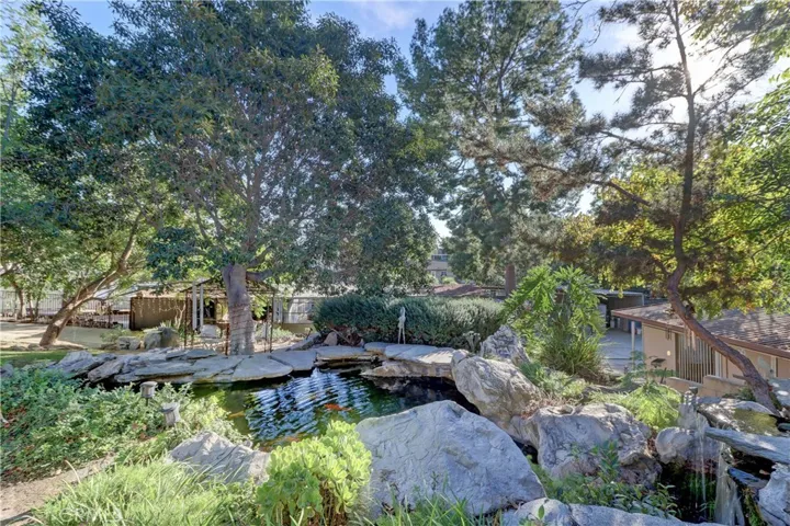 Koi pond