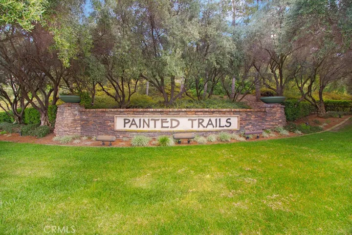Olive tree lined streets welcome you home!