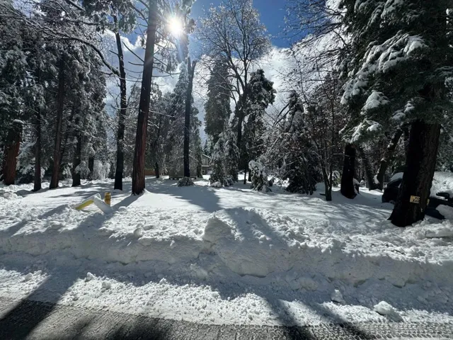 21871 Crestline Road, Palomar Mountain, California 92060