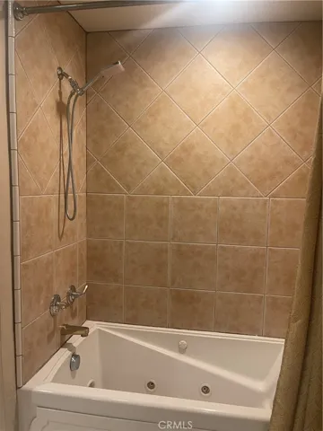 Jacuzzi style tub and shower