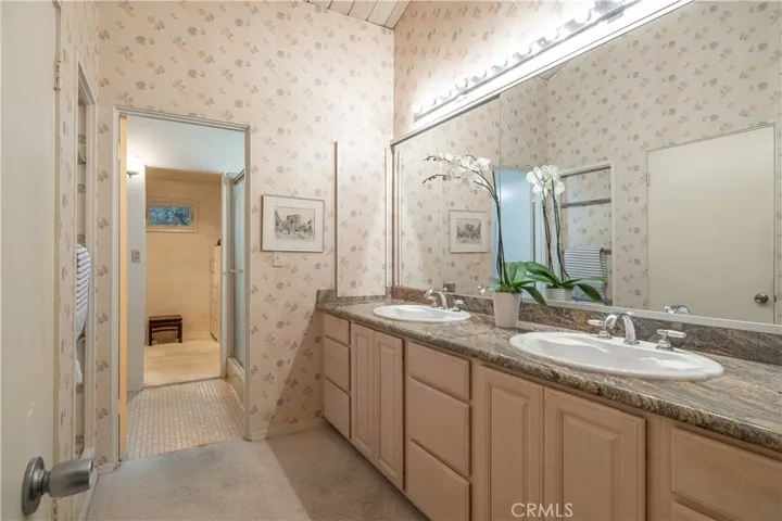 Primary bath suite
