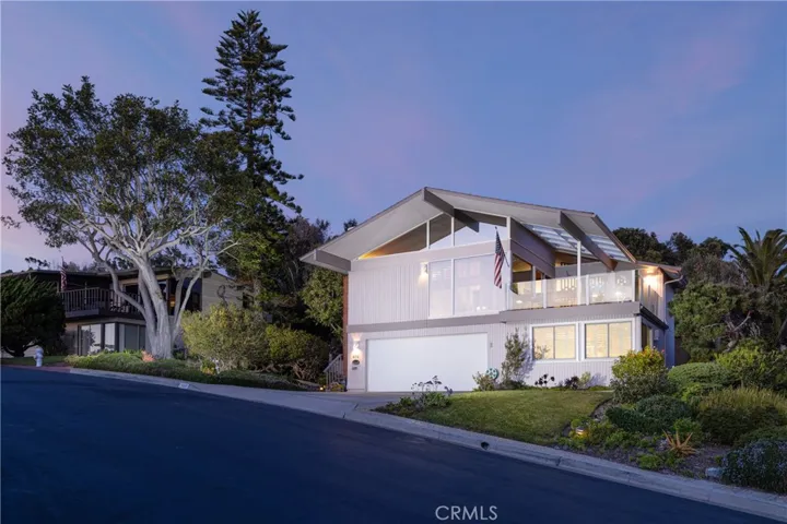 Magnificent Mid-Century style architecture