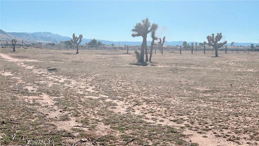 21429 Del Oro Road, Apple Valley, California 92308