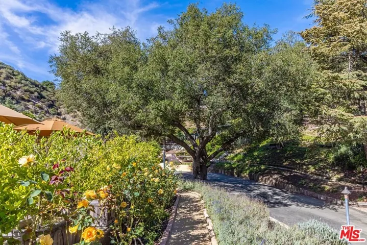 Garden path