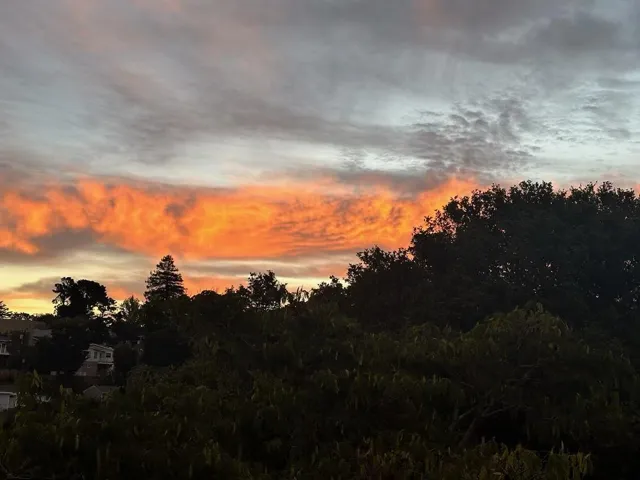 3807 Kingridge Drive, San Mateo, California 94403
