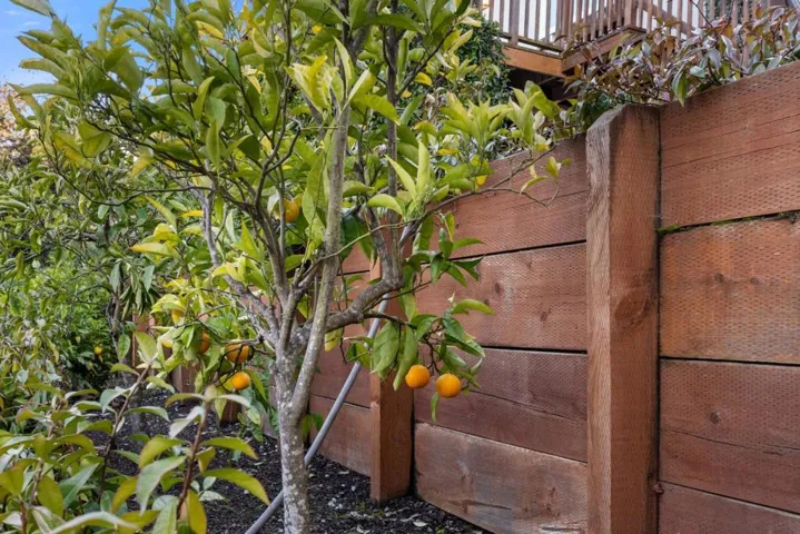 3807 Kingridge Drive, San Mateo, California 94403