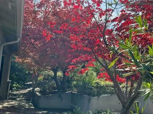 3807 Kingridge Drive, San Mateo, California 94403