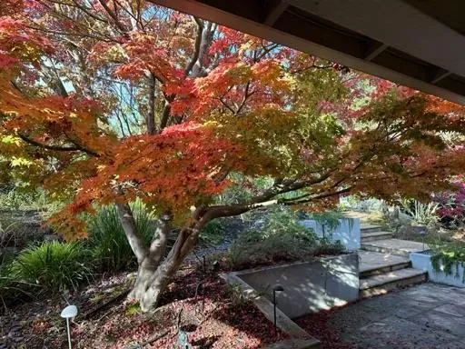 3807 Kingridge Drive, San Mateo, California 94403