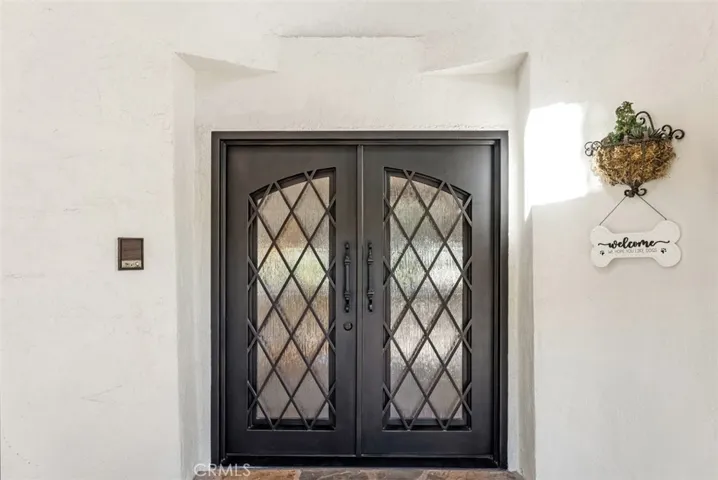Designer Front Door