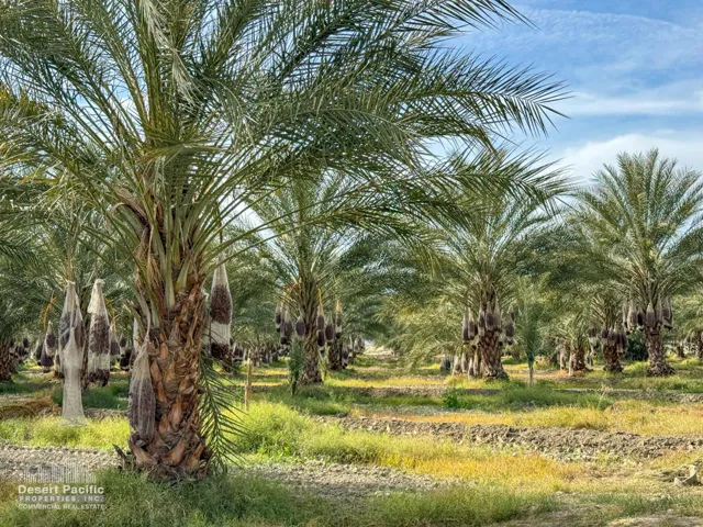 42.94AC-GroundPhotos-web-13
