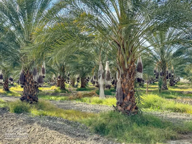 42.94AC-GroundPhotos-web-14