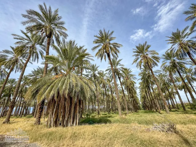 42.94AC-GroundPhotos-web-16