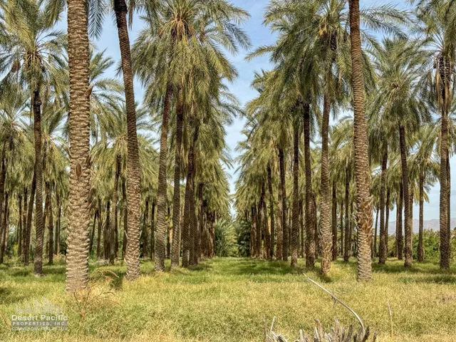 42.94AC-GroundPhotos-web-15