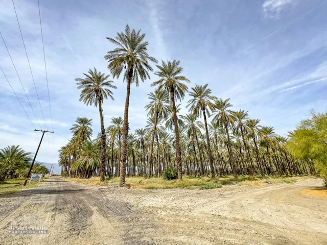42.94AC-GroundPhotos-web-01