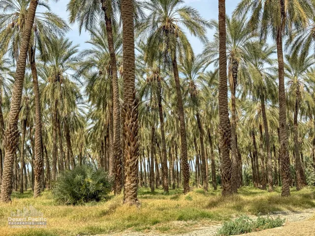 42.94AC-GroundPhotos-web-05