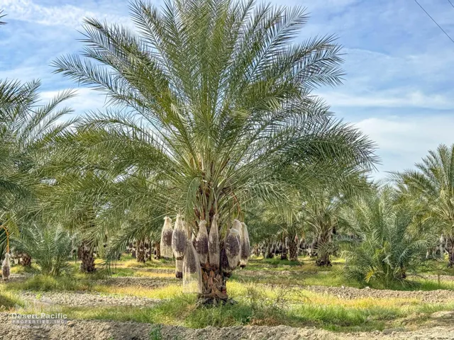 42.94AC-GroundPhotos-web-08