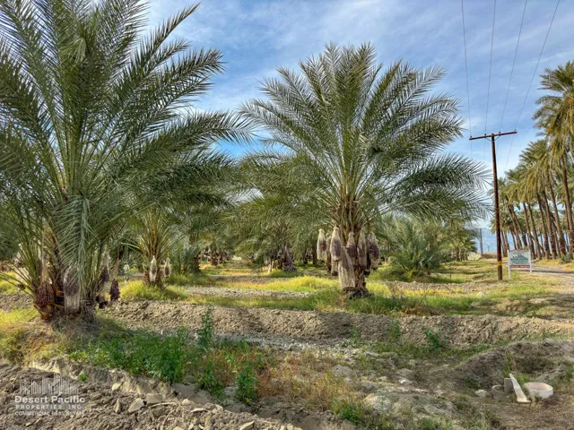 42.94AC-GroundPhotos-web-10