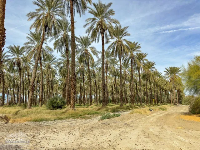 42.94AC-GroundPhotos-web-04