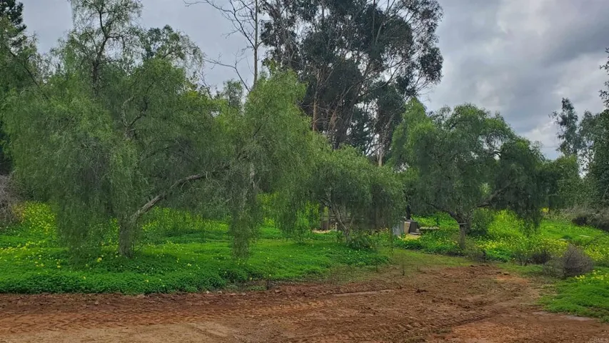 18525 Aliso Canyon Road, Rancho Santa Fe, California 92067