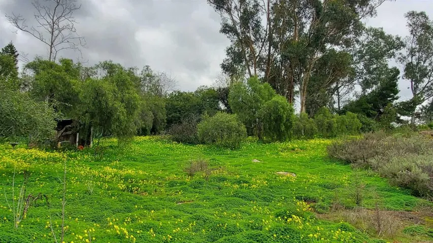 18525 Aliso Canyon Road, Rancho Santa Fe, California 92067