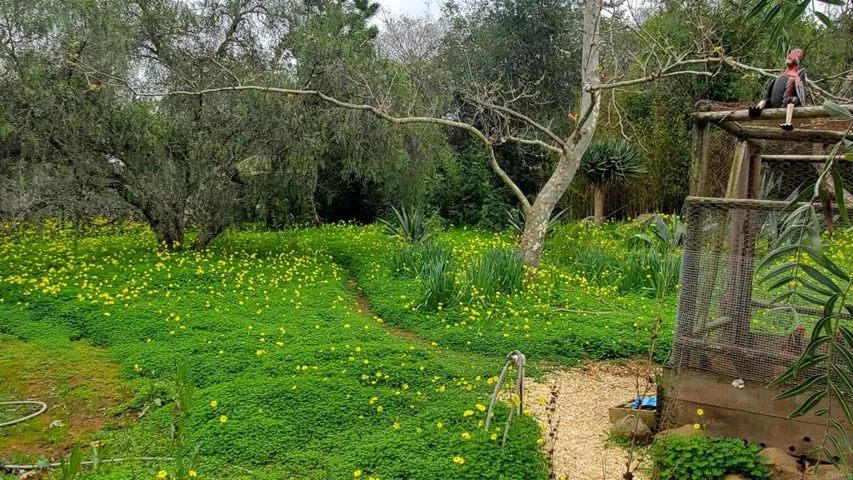18525 Aliso Canyon Road, Rancho Santa Fe, California 92067