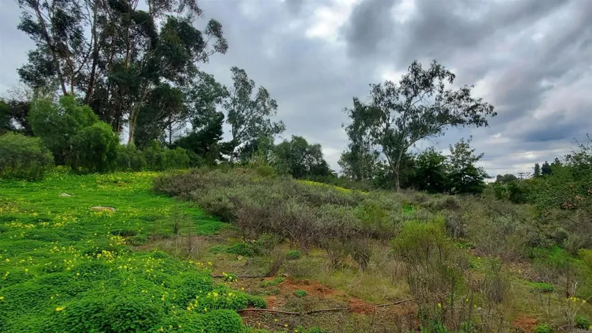 18525 Aliso Canyon Road, Rancho Santa Fe, California 92067